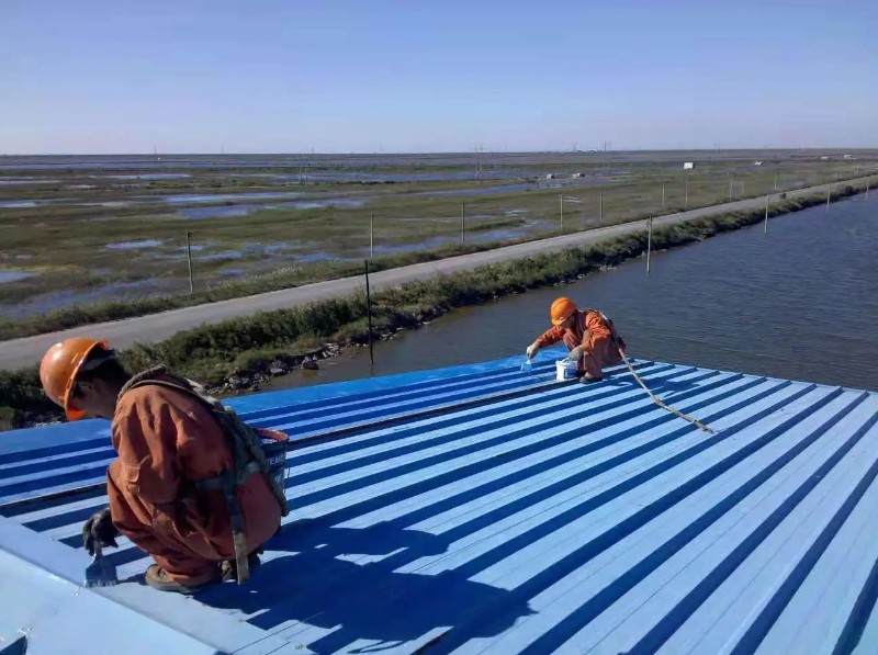 邹平彩钢瓦屋面防腐翻新